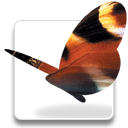 InDesign CS