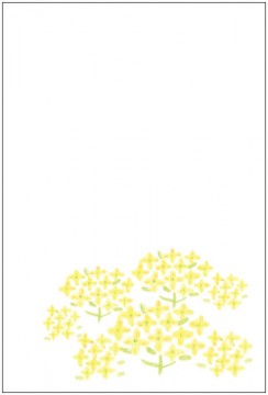 イラスト_菜の花 イラスト_菜の花