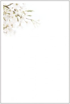 写真_桜 写真_桜