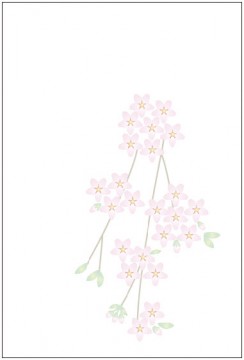 イラスト_しだれ桜 イラスト_しだれ桜